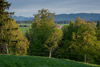 Eiberg
