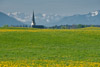 Maiausflug