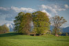 Ruabbebiche/Schnoad