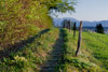 Ruabbebiche/Schnoad