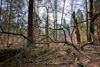 SchnoadEiberg
