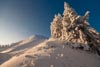 Weida wegg: Bergbuidl 3