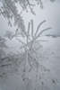 Winter 2009/10 im Biasnkama Westen