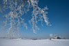 Winter 2009/10 im Biasnkama Westen