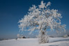 Winter 2009/10 im Biasnkama Westen
