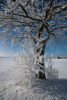 Winter 2009/10 im Biasnkama Westen