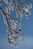 Winter 2009/10 im Biasnkama Westen